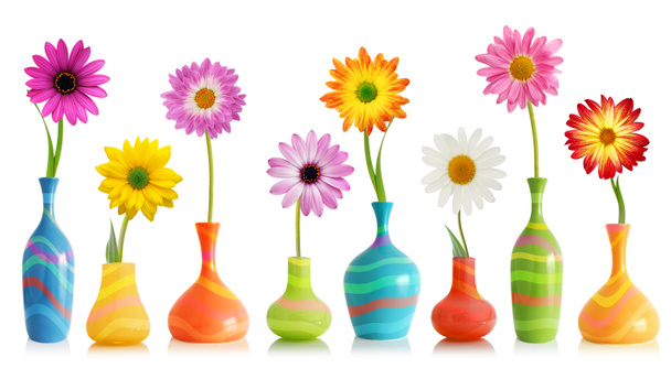 Fleurs de marguerite dans des vases
 - Photo, image