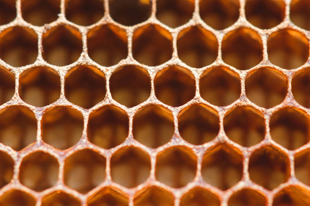 nido d'ape primo piano macro sfondo astratto immagine
 - Foto, immagini