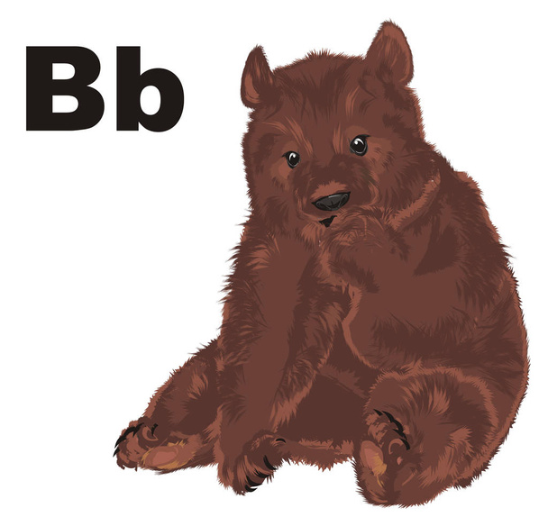 orso bruno con lettere nere b
  - Foto, immagini
