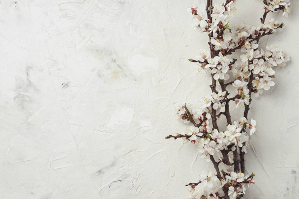 Sprig of cherry flowers on a light stone background. Flat lay, t - Photo, Image