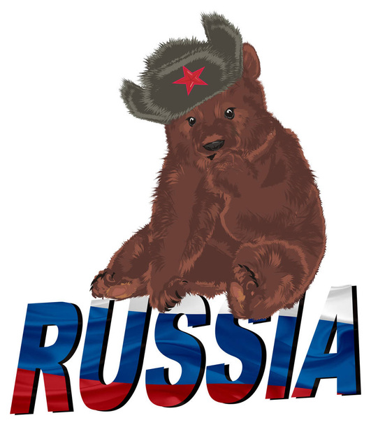 russian bear sit top on colored word - Photo, Image