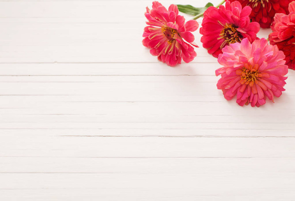 background with zinnia flowers - Foto, afbeelding