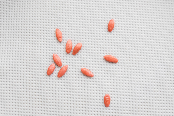 Várias sementes de pepino vermelho processadas
 - Foto, Imagem