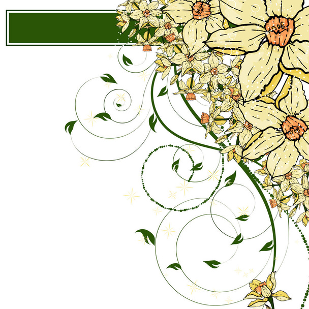 ruční kreslení pozadí květiny Narcis. - Vektor, obrázek