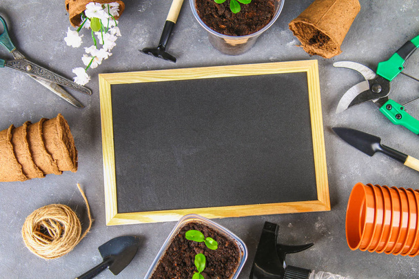 Garden tools and pots on a gray concrete background. Chalk board. Top view, copy space. - Zdjęcie, obraz