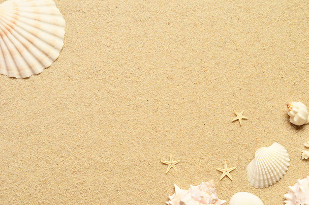 Морський пісок із морськими зірочками та мушлями. Вид зверху з пробілом для копіювання
. - Фото, зображення