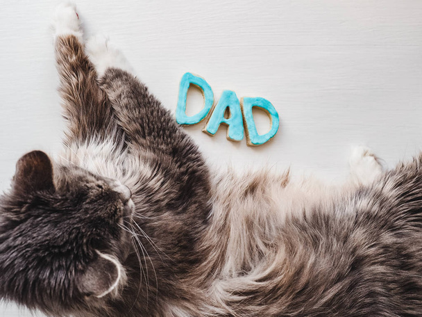 Sweet, cute kitten and the word DAD - Фото, изображение