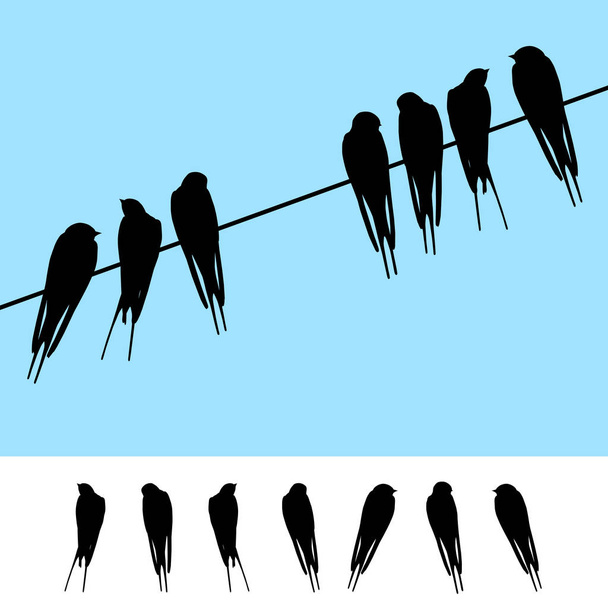 Set van realistische vector silhouetten van de vergadering van de zwaluwen - Vector, afbeelding