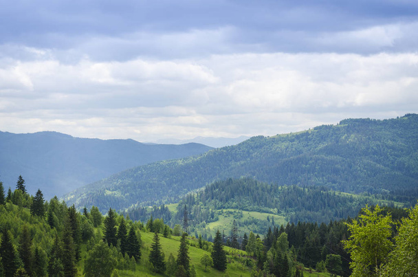 Carpathian mountains in summer - Foto, afbeelding
