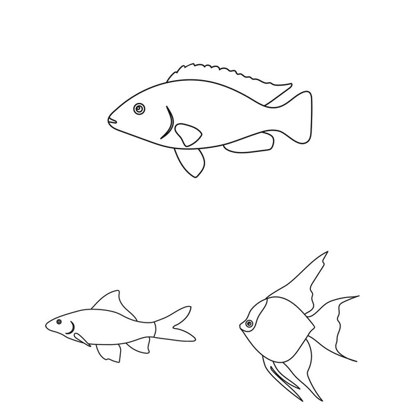 Different types of fish outline icons in set collection for design. Marine and aquarium fish vector symbol stock web illustration. - Vector, Image