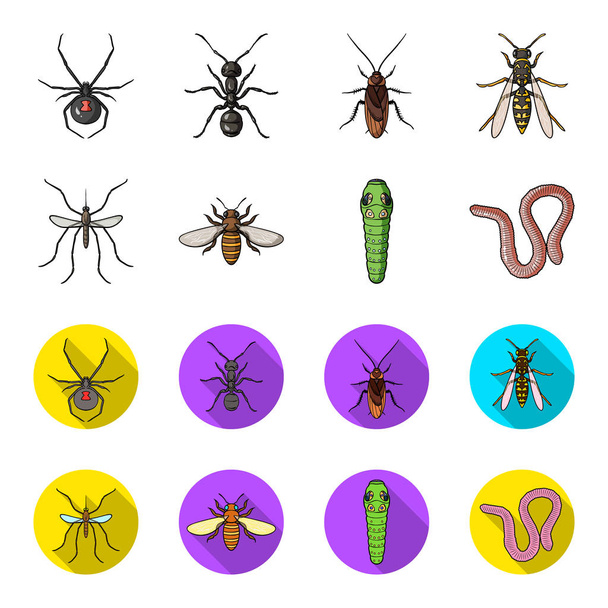 Worm, centipede, wasp, bee, hornet .Insects set collection icons in cartoon,flat style vector symbol stock illustration web. - Vector, imagen