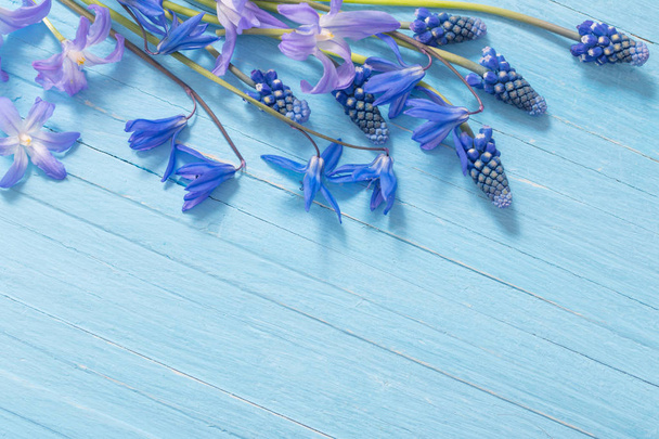 spring flowers on blue wooden background - Zdjęcie, obraz