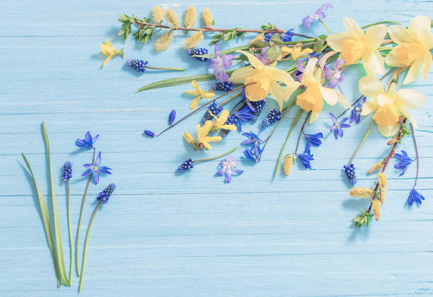 yellow and blue spring flowers on wooden background - Valokuva, kuva