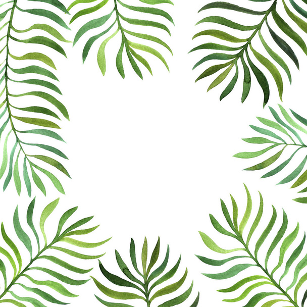 background with watercolor fern leaves - Φωτογραφία, εικόνα
