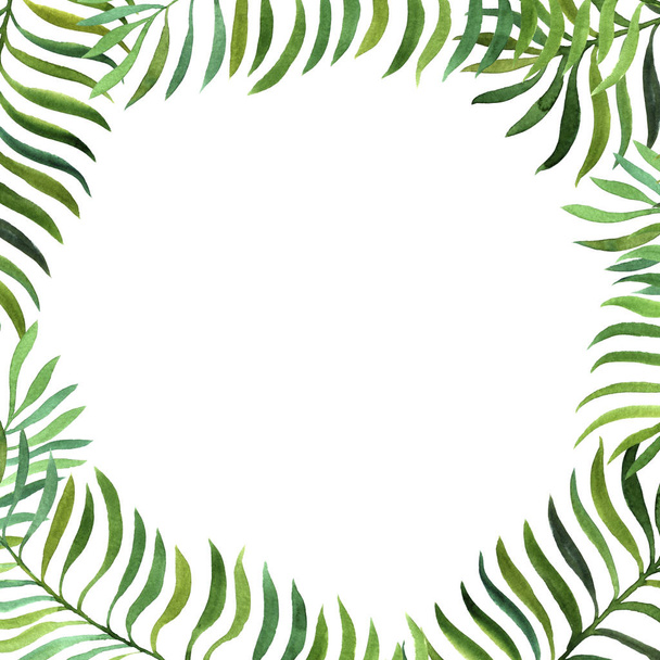 background with watercolor fern leaves - Foto, imagen