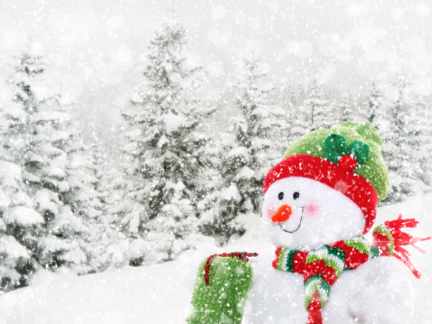 Bonhomme de neige heureux dans le paysage hivernal
 - Photo, image