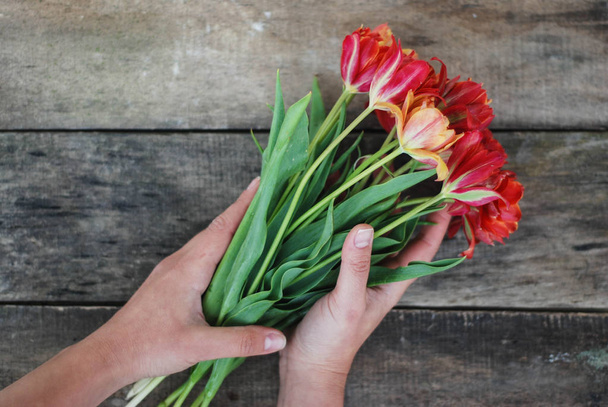Hands with Bouquet of Spring Red Tulips over rustic Wooden Background - Φωτογραφία, εικόνα