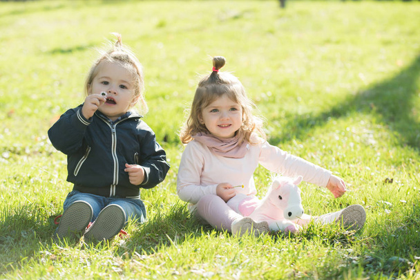 Children, childhood concept. Future, flourishing, youth. Boy and girl pick flowers on green grass. Happy family, love, trust. Brother and sister play with toy horse on sunny day. - Fotó, kép
