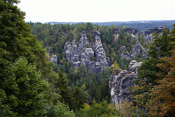 Bastei Rocks in Swiss Saxony, around the ruins of Neurathen Castle. Germany. - Foto, immagini