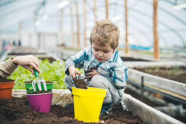Kid filling yellow pot with soil, male hand holding hand fork. Blond kid playing in greenhouse. Educational game concept. - Φωτογραφία, εικόνα