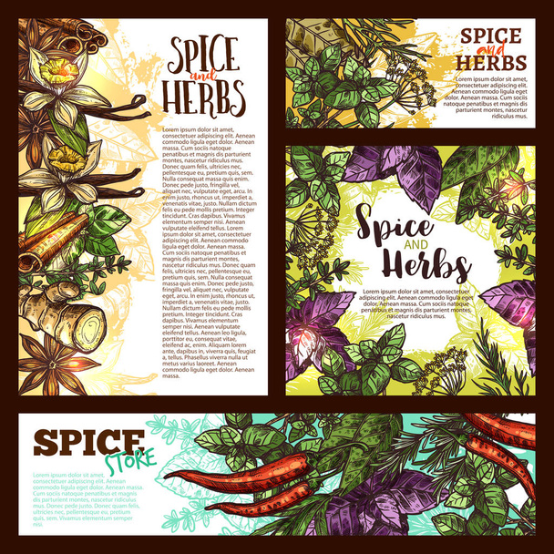 Fűszer-, gyógynövény- és banner aromás növényi vázlat - Vektor, kép