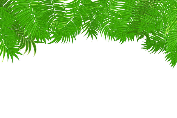 Letní džungle palmového listí rám - Vektor, obrázek