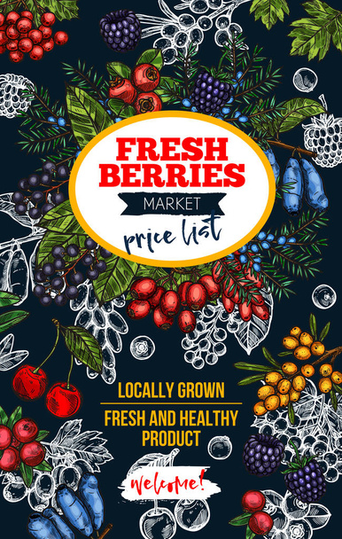 Berry μαυροπίνακα πανό με φρέσκα άγρια φρούτα - Διάνυσμα, εικόνα