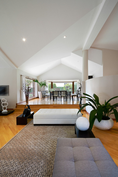 Interior design series: Modern living room - Fotografie, Obrázek