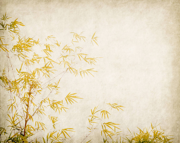 Bambus auf altem Grunge Papier Textur Hintergrund - Foto, Bild