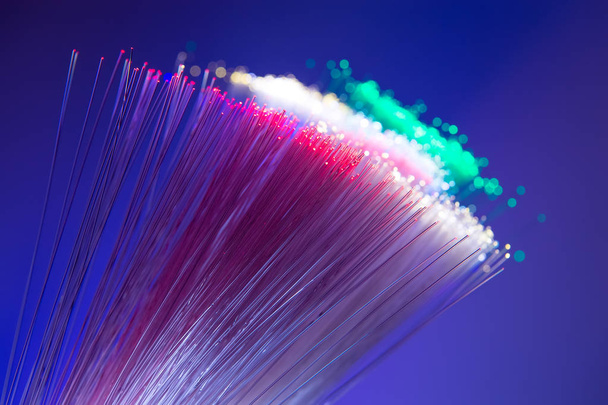 fiber optik ağ kablosu - Fotoğraf, Görsel