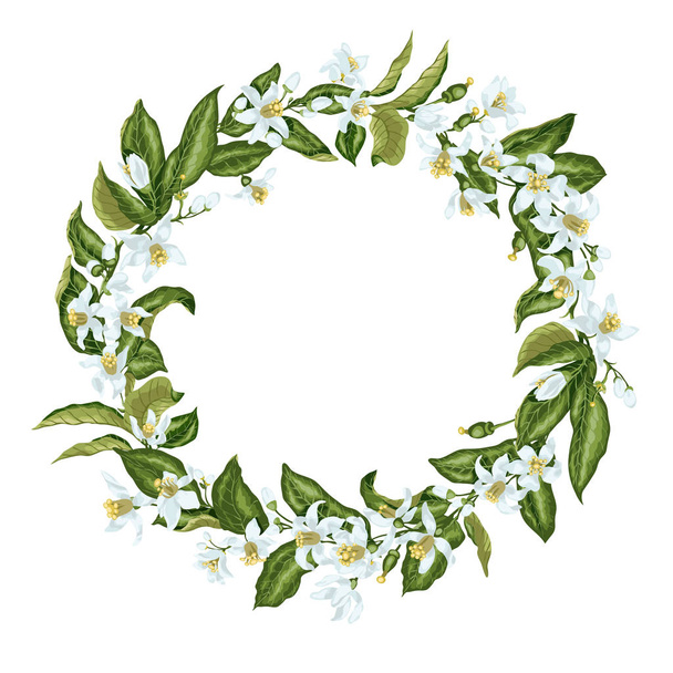 Wreath in vintage style with citrus flowers in shape of a circle - Vektor, obrázek