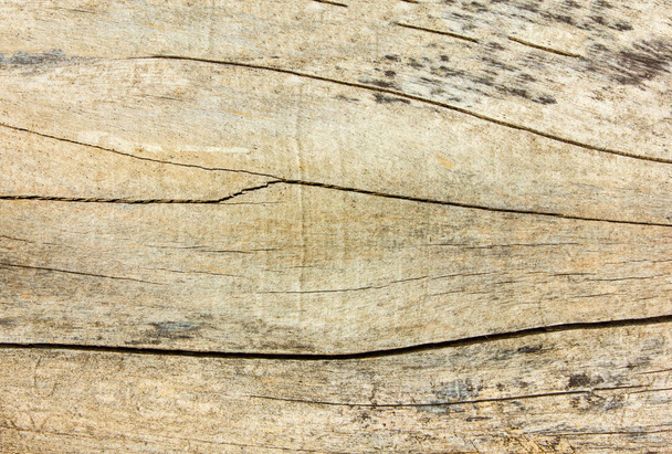 Old wood wall surface - 写真・画像