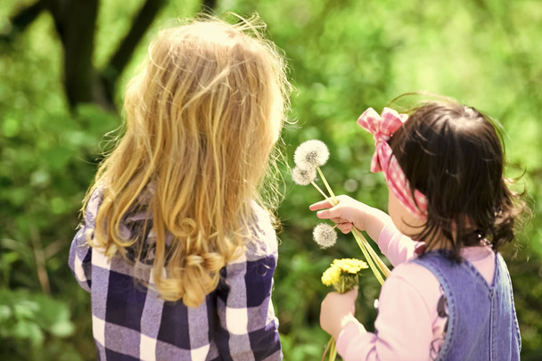 Children pick dandelion flowers in spring or summer park - Zdjęcie, obraz