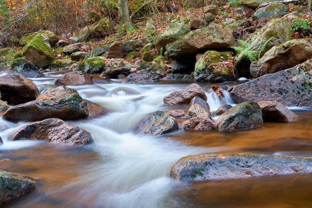 Ilse řeky na Ilsenburg v národním parku Harz v Německu - Fotografie, Obrázek