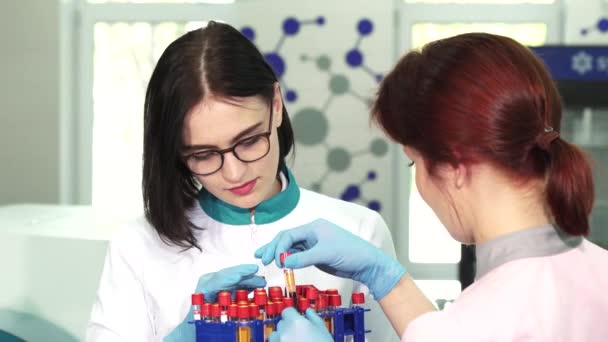 Atractiva química femenina y su asistente trabajando con tubos de ensayo
 - Imágenes, Vídeo