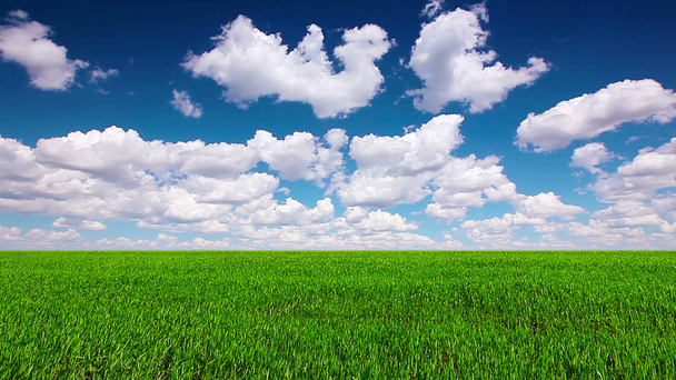 Campo verde y cielo nublado
 - Metraje, vídeo