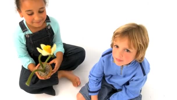 Linda chica afroamericana y chico rubio jugando con flores
 - Imágenes, Vídeo
