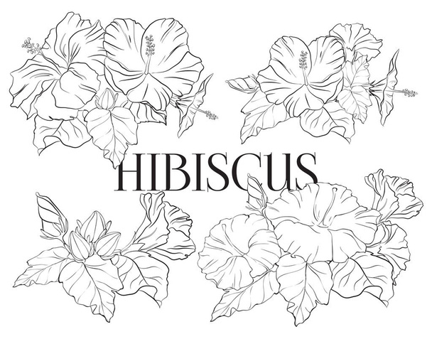 Set of hand drawn hibiscus flower. Colorful collection of tropical flowers. Beautiful floral composition with exotic blooms of rose mallow - Vector, Imagen