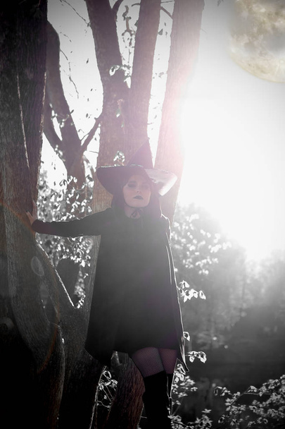 witch in black pointed hat dark forest - Photo, Image