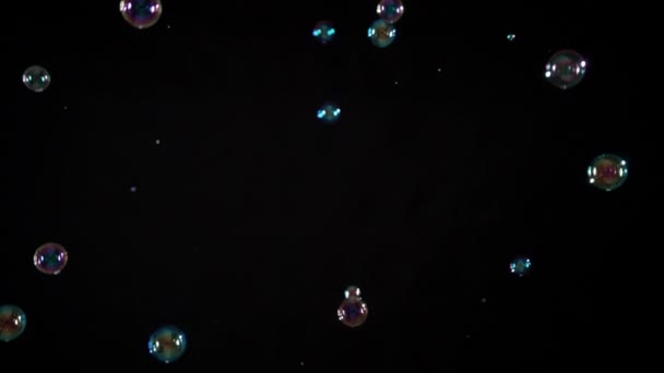 Soap Bubbles on Black Background - Footage, Video