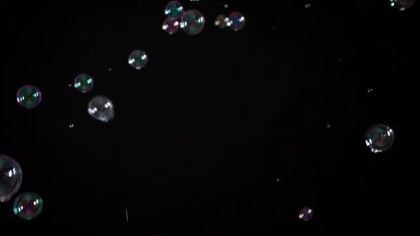 Seifenblasen auf schwarzem Hintergrund - Filmmaterial, Video