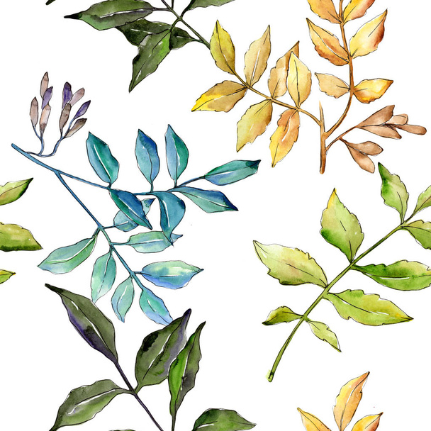 Ash leaves in a watercolor style pattern. - Zdjęcie, obraz