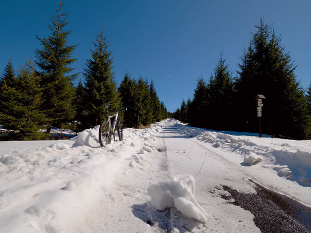Cyklistika na velké pneumatiky v čerstvém sněhu. Cyklista jede na kole na zasněžené silnici - Fotografie, Obrázek