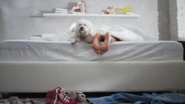 Köpek ile yatakta yatıyor ve ayak gösterilen siyah kız - Video, Çekim