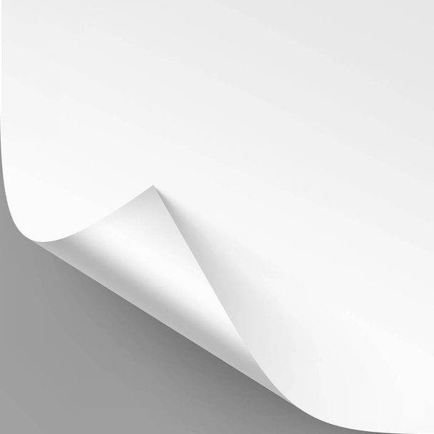 Vector Curled corner of White paper with shadow Mock up Close up Isolated on Gray Background - Vector, Image