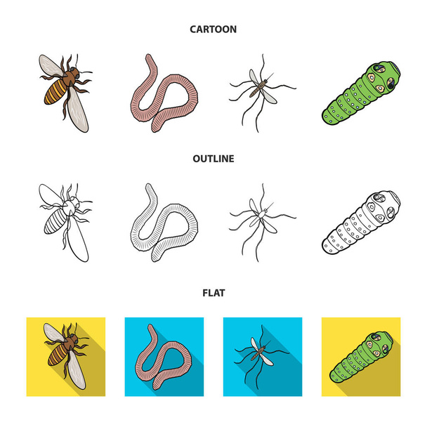 Arthropods insect mosquito, bee.Earth worm, caterpillar,vermicular set collection icons in cartoon,outline,flat style vector symbol stock isometric illustration web. - Vector, imagen