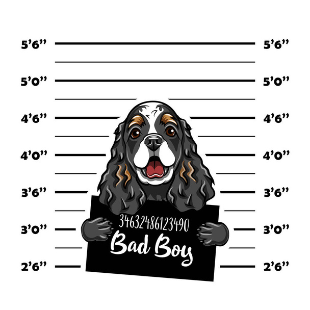 Cocker Spaniel bad boy. Dog criminal. Arrest photo. Police records. Dog prison. Police mugshot background. Vector. - Vector, imagen