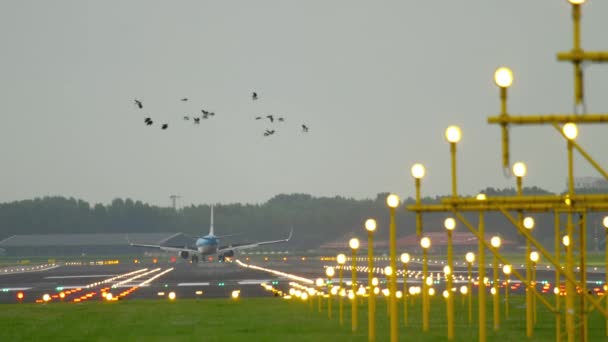 KLM Boeing 737 landing - Séquence, vidéo