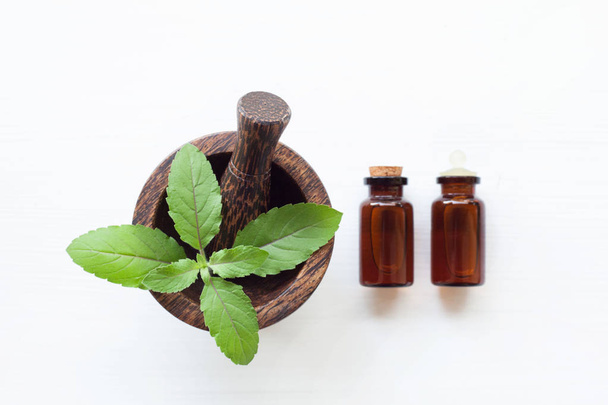 Holy Basil  Leaves in wooden mortar and Holy Basil Essential Oil - Photo, Image