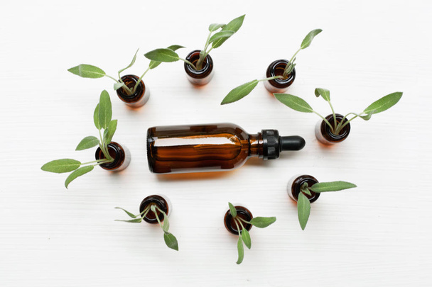 Sage essential oil with sage leaves on white  blackground. - Foto, Bild